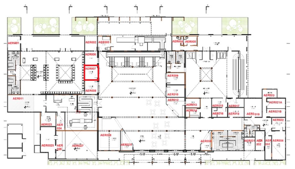 AER007 (AIR ANTILLES SEM)